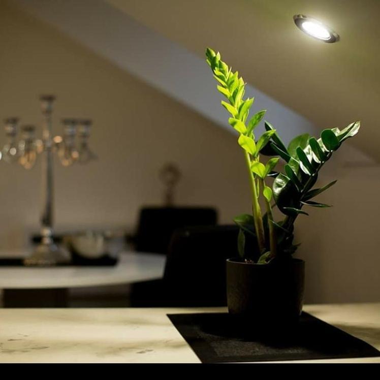 Stan Na Dan Angel Appartement Novi Sad Buitenkant foto